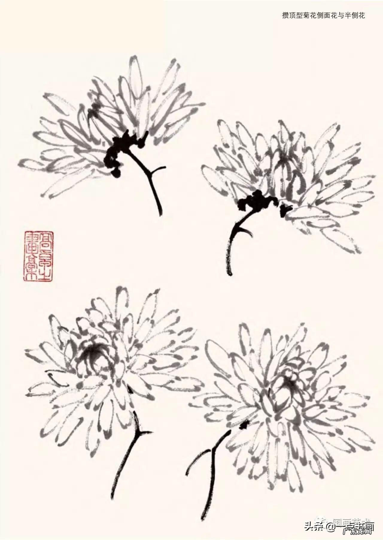 菊花如何画 菊花要怎么画