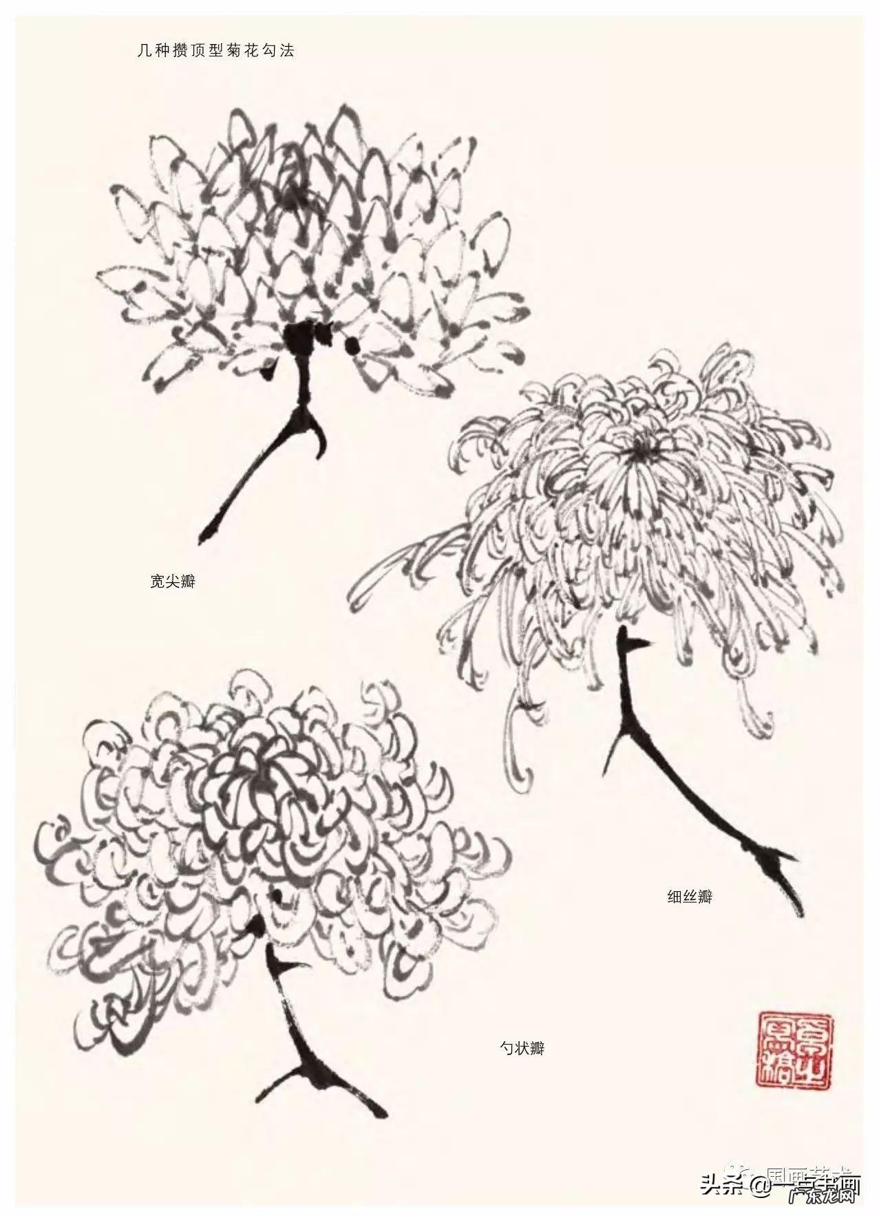 菊花如何画 菊花要怎么画