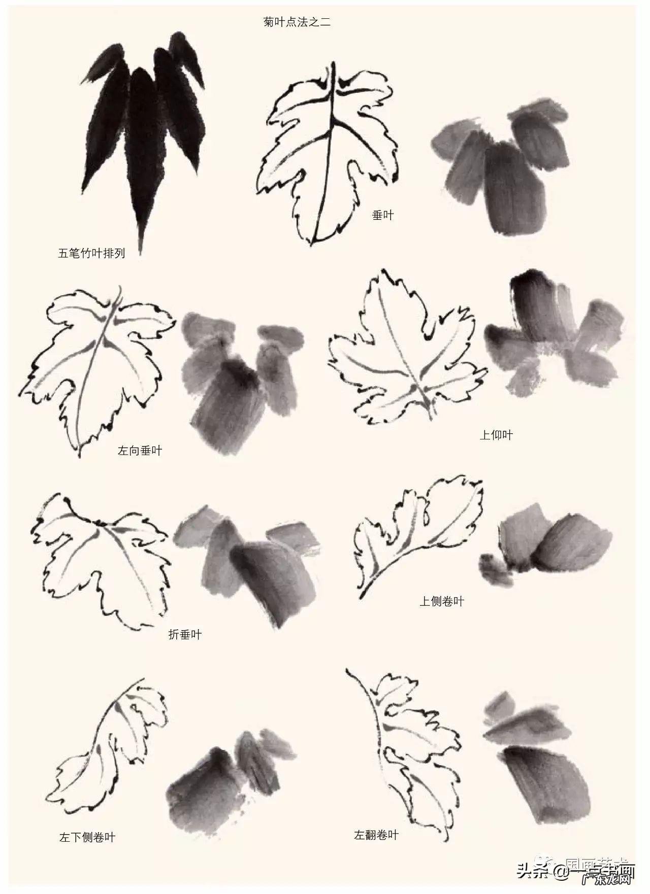 菊花如何画 菊花要怎么画