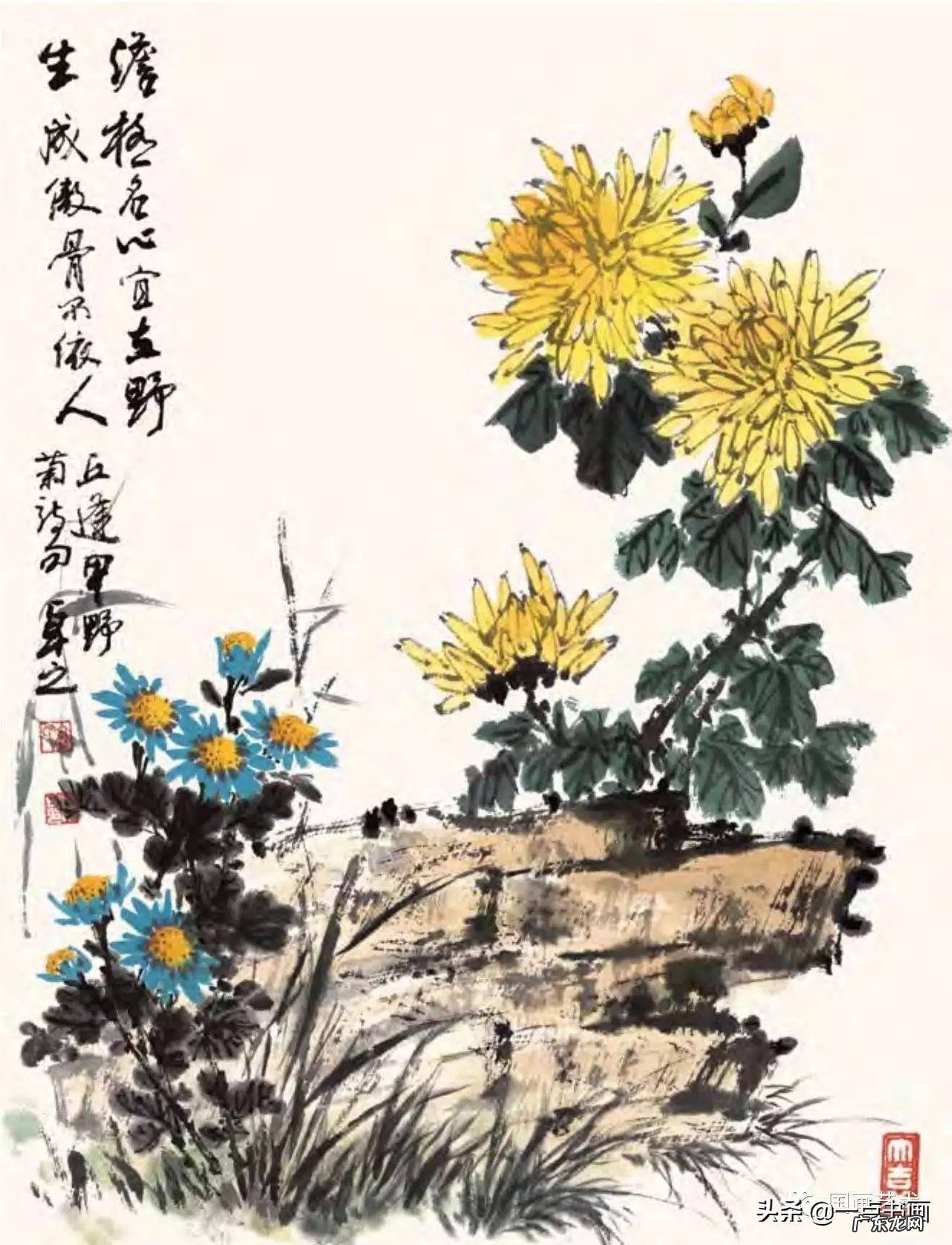 菊花如何画 菊花要怎么画