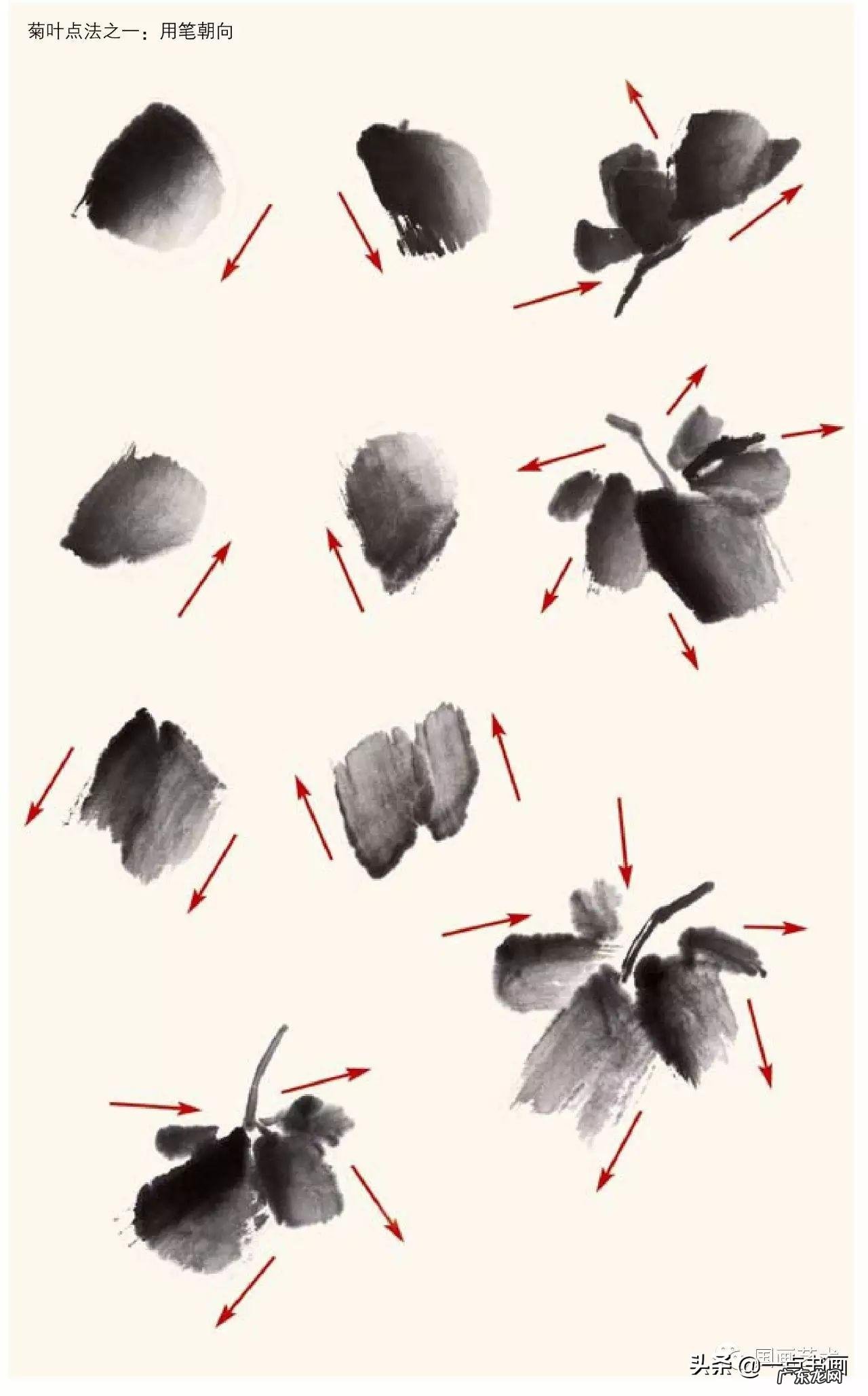 菊花如何画 菊花要怎么画