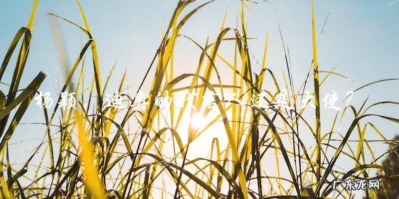 「杨颖到底是迪奥的代言人还是大使?她的身份」