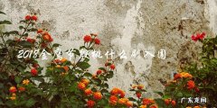 揭晓！殷桃主演的哪部剧入围了2018金鹰节？