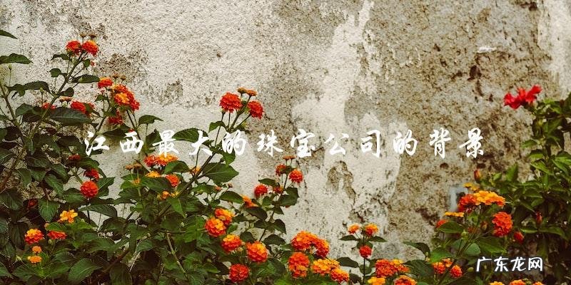 江西最大的珠宝公司,背后到底隐藏了什么秘密?