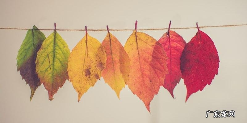 全国用户最喜爱20家白银品牌