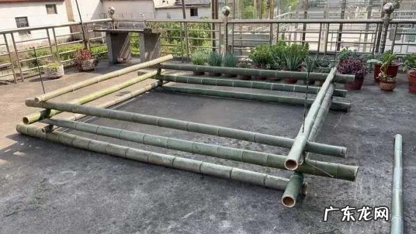 柴火放什么地方最旺财 钱放柴火棚的风水讲究是什么