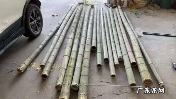 柴火放什么地方最旺财 钱放柴火棚的风水讲究是什么