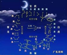 风水甲字代表什么 乌龟风水甲是什么意思