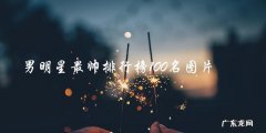 男明星最帅排行榜100名图片