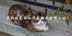 中兴光猫和华为光猫，哪一个更好？