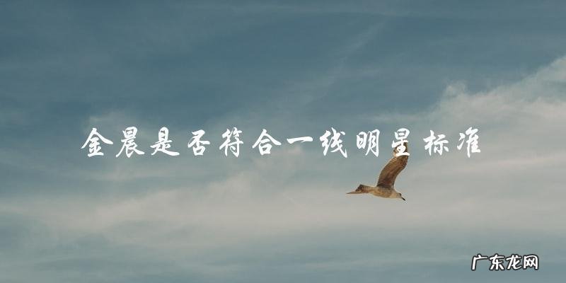 金晨：一线明星还是二线新秀？