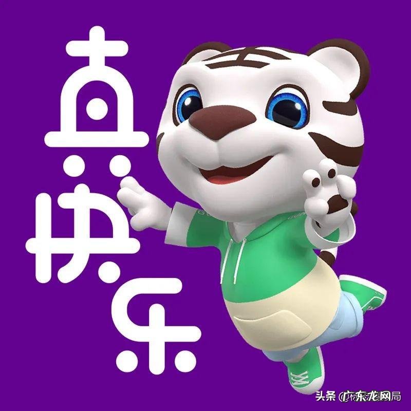 国美狗狗是什么样子 国美狗图片大全
