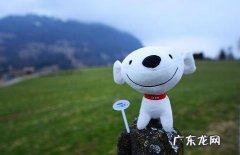 京东推荐平台有哪些？京东自营、京喜、拍拍二手&#8230;