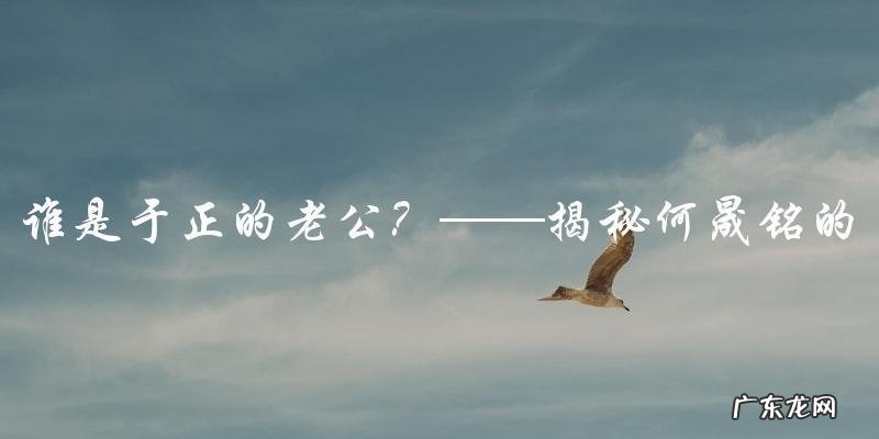 于正的老公是何晟铭