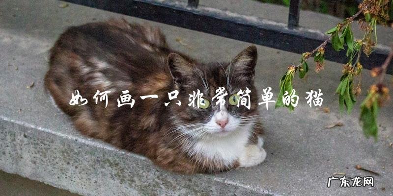 你知道如何用简单的步骤画一只可爱的猫吗?
