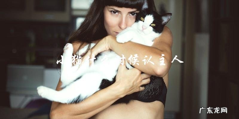 小猫多久才会认主人?