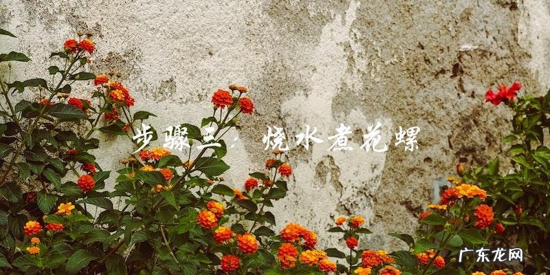 最简单又好吃的白灼花螺做法！