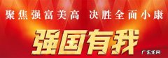 二七区政务公开 二七区政府网官网