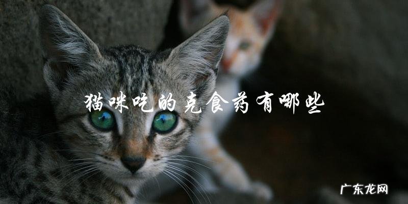 猫咪需要控制体重，有哪些克食药是安全有效的？