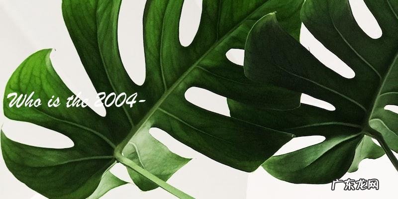 谁将成为下一个2004年出生的女演员的新星？