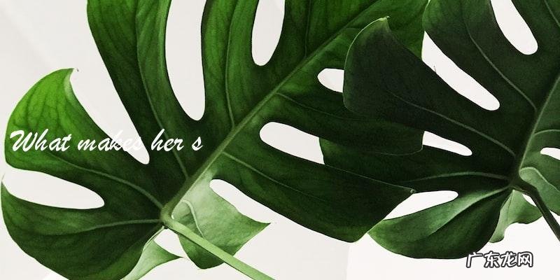 谁将成为下一个2004年出生的女演员的新星？