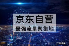 在京东上有哪些品牌自营值得买？10大品牌自营,最低3折起!