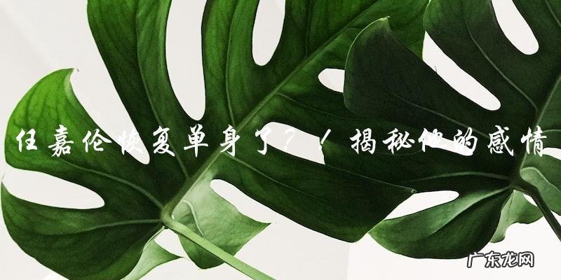 2022，任嘉伦恢复单身了？！他的感情真相！