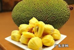 菠萝蜜的功效