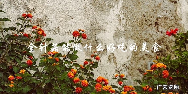 金针菇能做什么好吃的美食