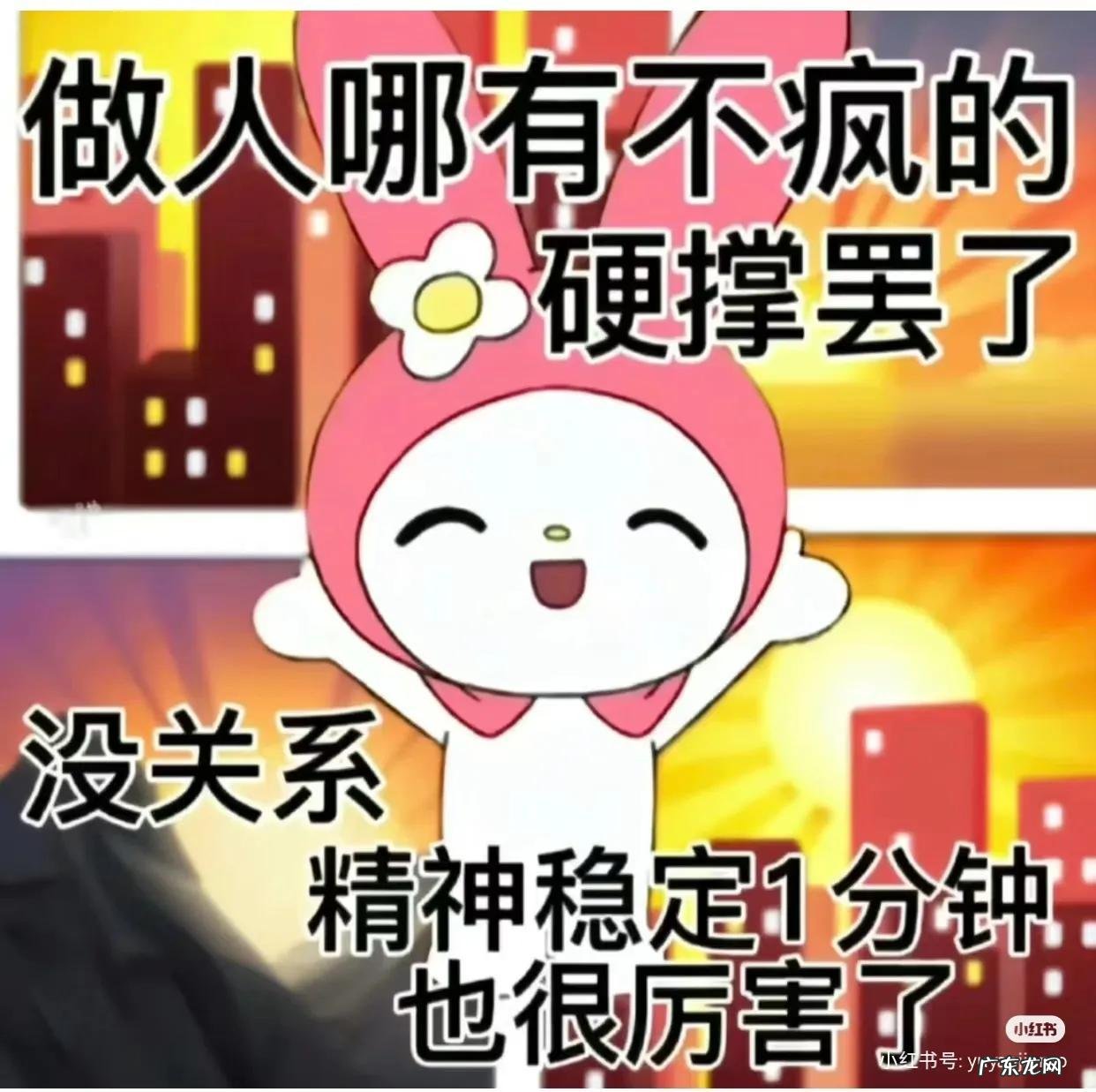 黑龙江会考查询入口网站