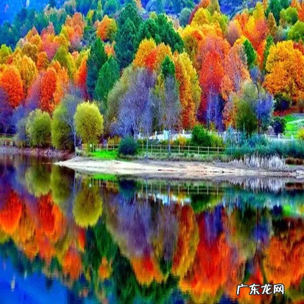 琴棋书画风水 琴棋书画风水图解大全