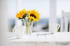 家里有精神病是风水不好吗 什么样的风水后代出精神病人呢