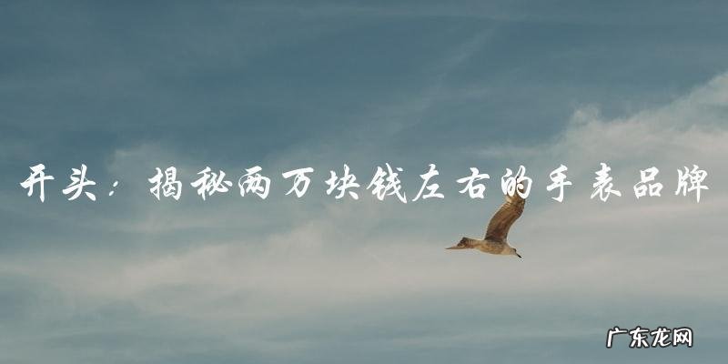 这个价位的手表品牌,究竟隐藏着怎样的惊人秘密?