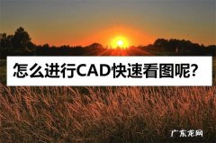 怎么使用cad快速看图进行快速对图纸的标注