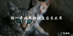 为什么猫一开始用猫砂盆，后来却不用了？