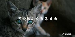 如何画出可爱的小花猫？