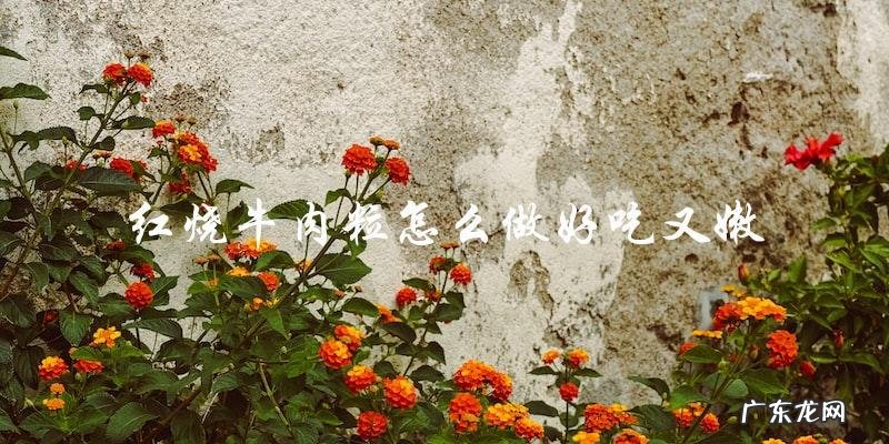 红烧牛肉粒：嫩滑口感的秘诀大