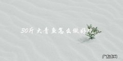教你如何烹饪出口感鲜美的30斤大青鱼！