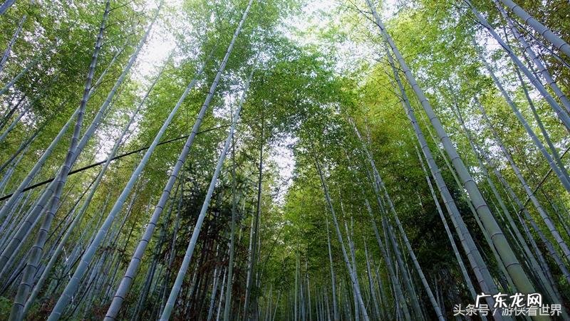 从化溪 从化溪头村玩水