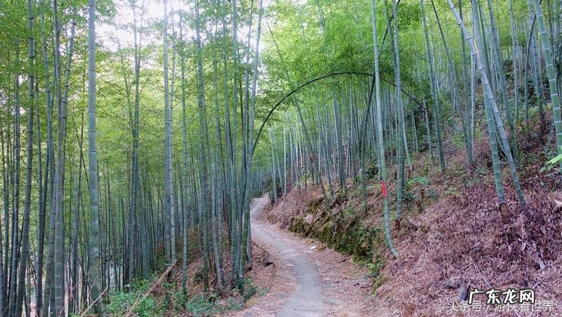 从化溪 从化溪头村玩水