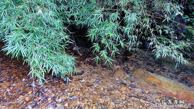 从化溪 从化溪头村玩水