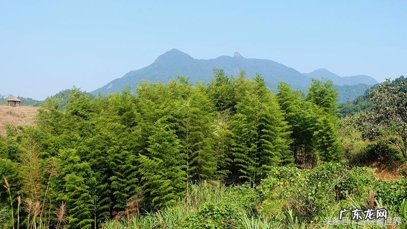 从化溪 从化溪头村玩水