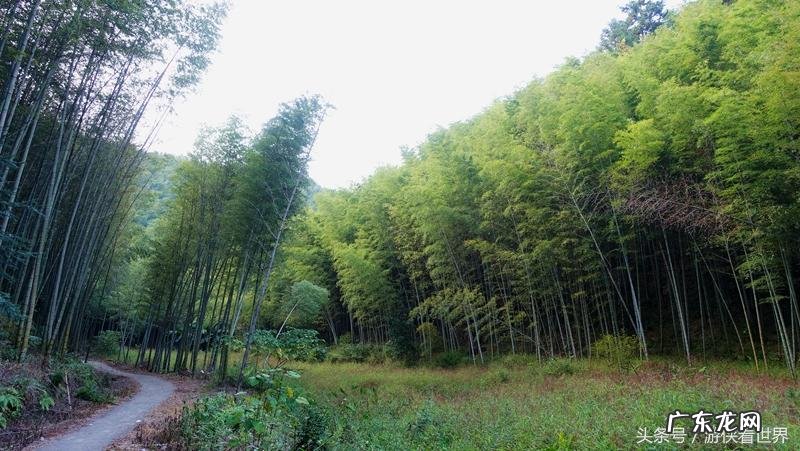 从化溪 从化溪头村玩水