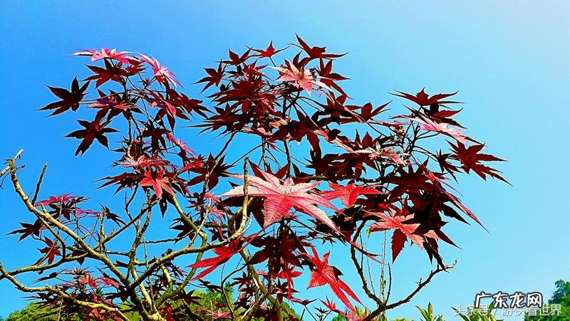 从化溪 从化溪头村玩水