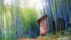 从化溪 从化溪头村玩水