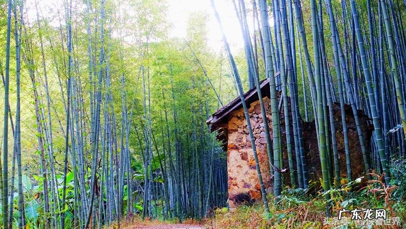 从化溪 从化溪头村玩水