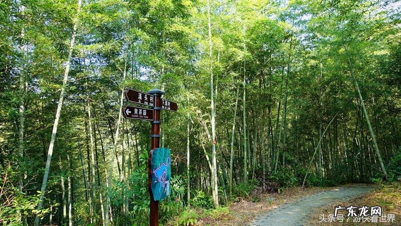 从化溪 从化溪头村玩水