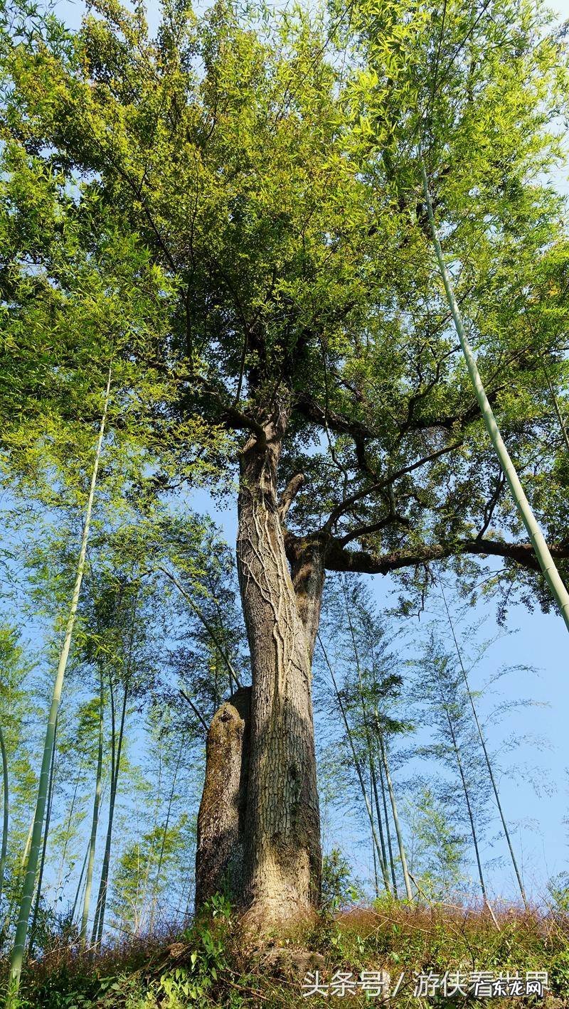 从化溪 从化溪头村玩水