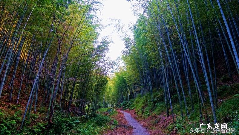 从化溪 从化溪头村玩水