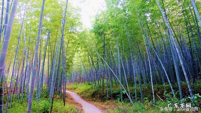 从化溪 从化溪头村玩水